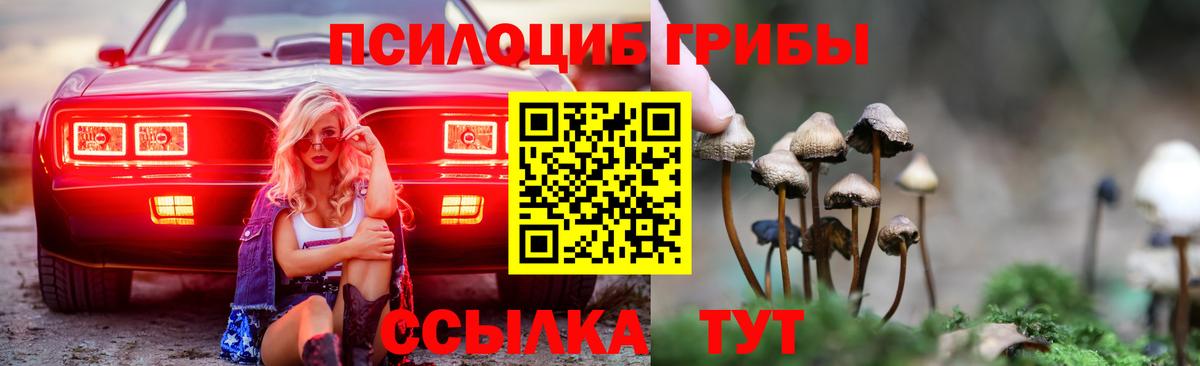 Псилоцибиновые грибы прущие грибы Тверь